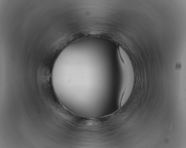 X0000091990555200709271450