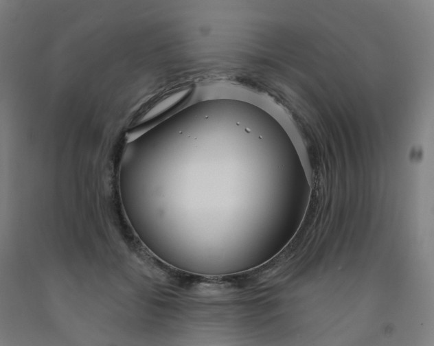 X0000091990556200709271450