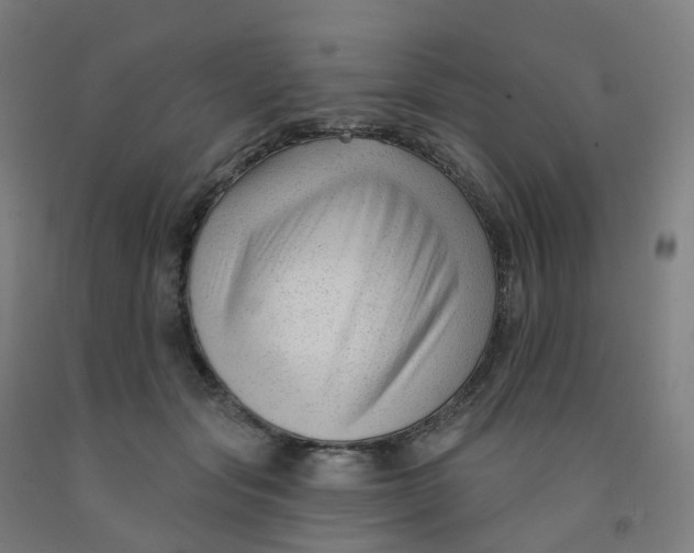 X0000091990557200709271450