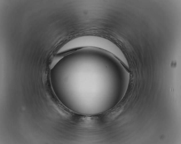 X0000091990558200709271450