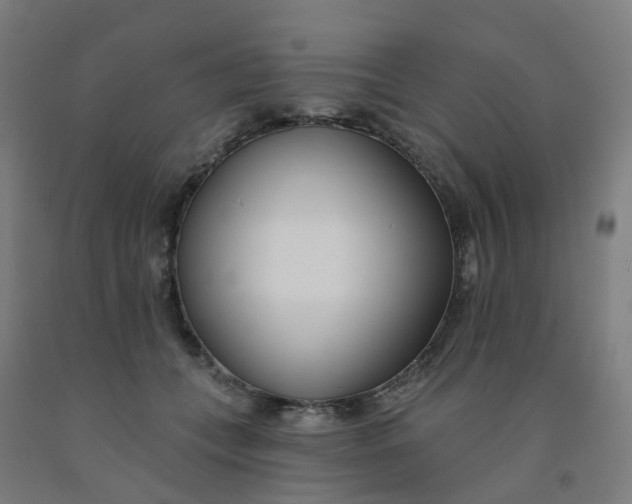 X0000091990559200709271450