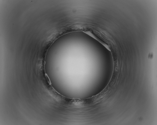 X0000091990560200709271450