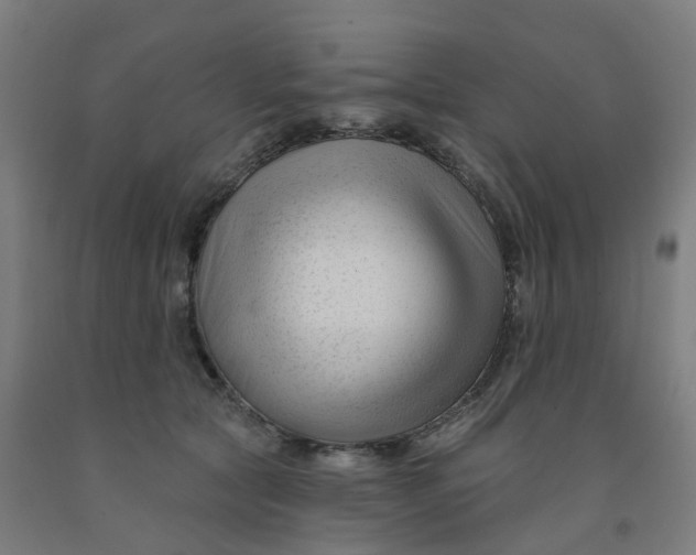 X0000091990561200709271450