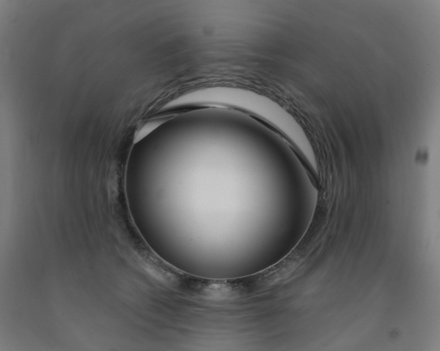 X0000091990562200709271450