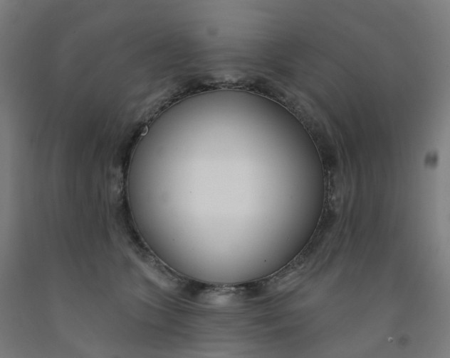 X0000091990563200709271450