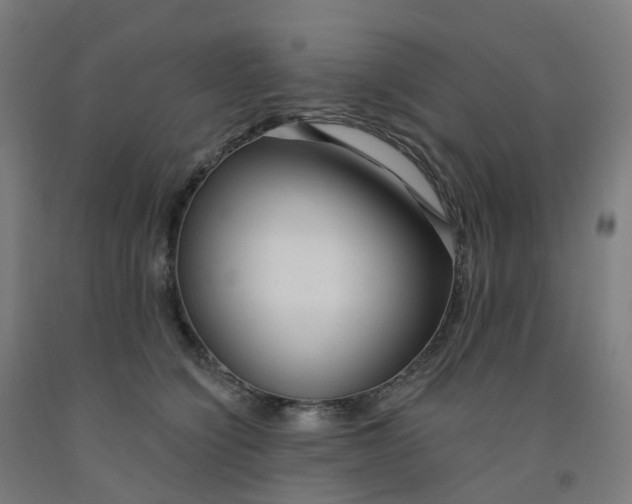 X0000091990564200709271450