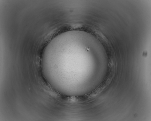 X0000091990565200709271450