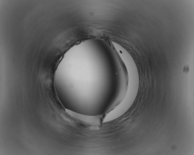 X0000091990566200709271450