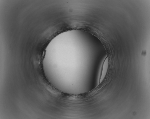 X0000091990567200709271450