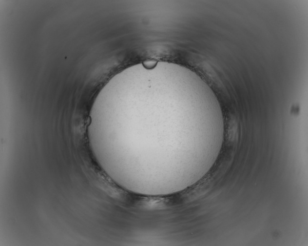 X0000091990569200709271450