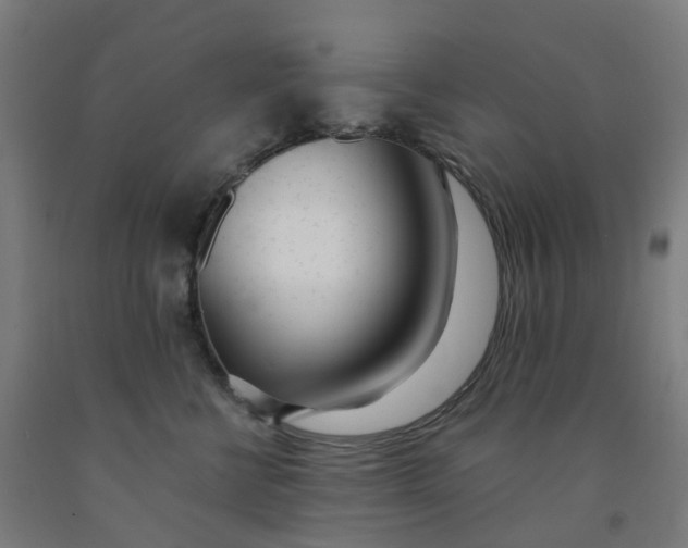 X0000091990570200709271450