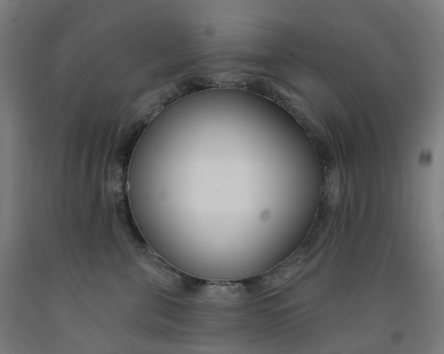 X0000091990571200709271450