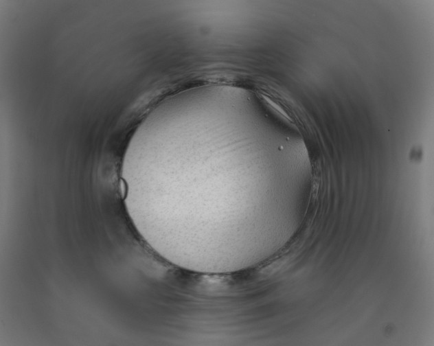 X0000091990573200709271450