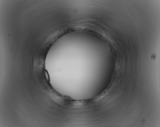 X0000091990574200709271450