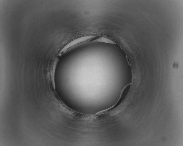 X0000091990576200709271450