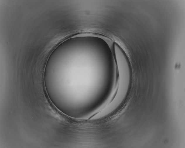 X0000091990577200709271449