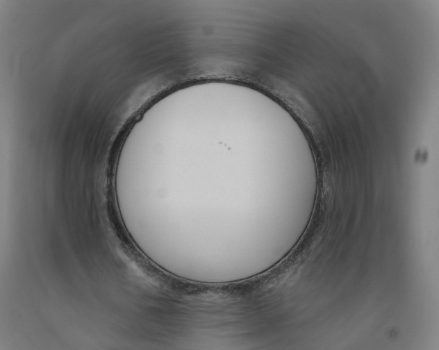 X0000091990578200709271449