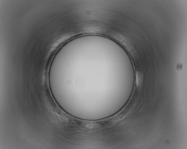 X0000091990579200709271449