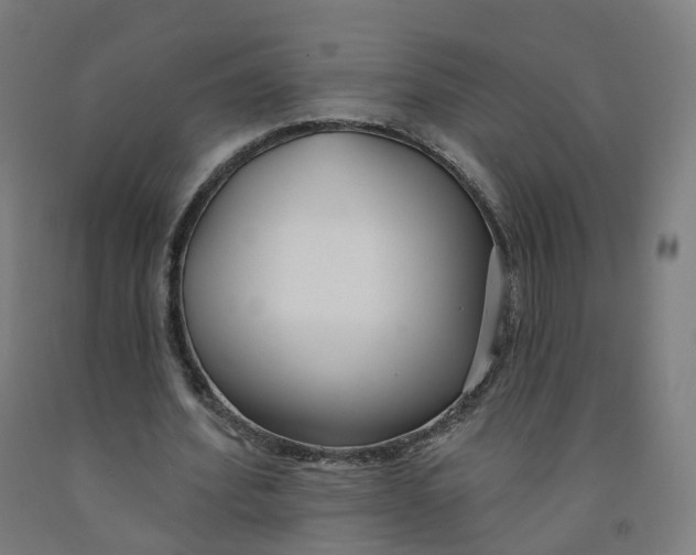 X0000091990580200709271449