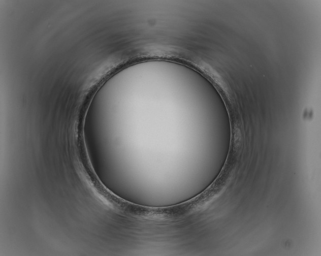 X0000091990581200709271449