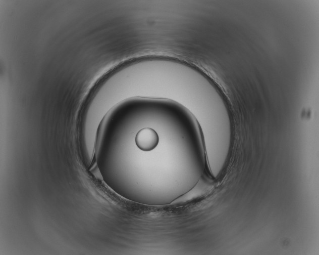 X0000091990584200709271449