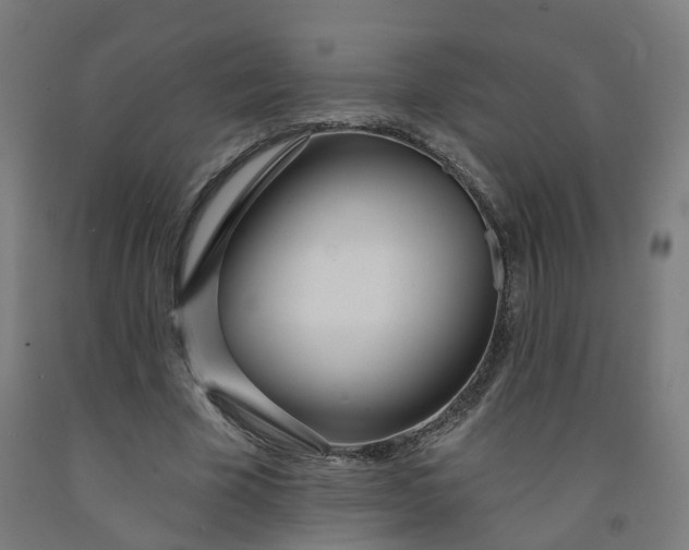 X0000091990585200709271449