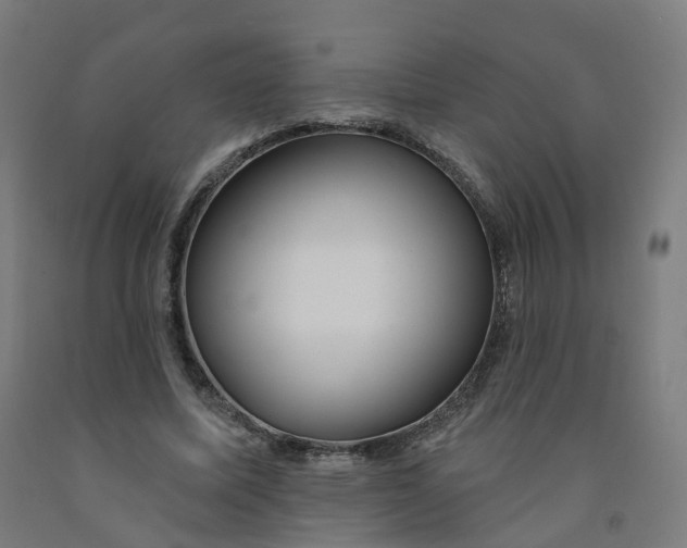 X0000091990587200709271449