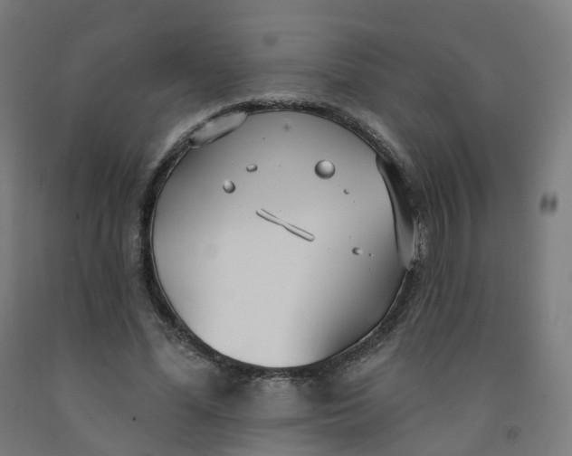 X0000091990588200709271449