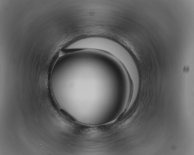 X0000091990589200709271449