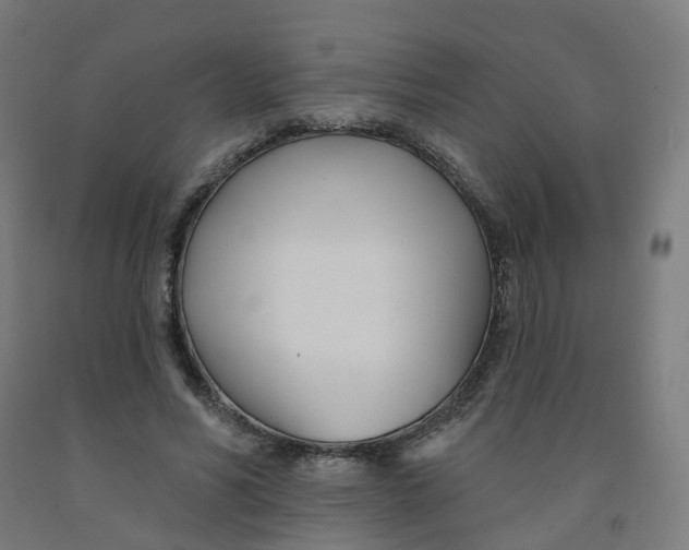 X0000091990590200709271449