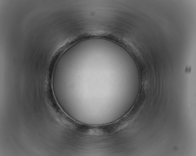 X0000091990591200709271449