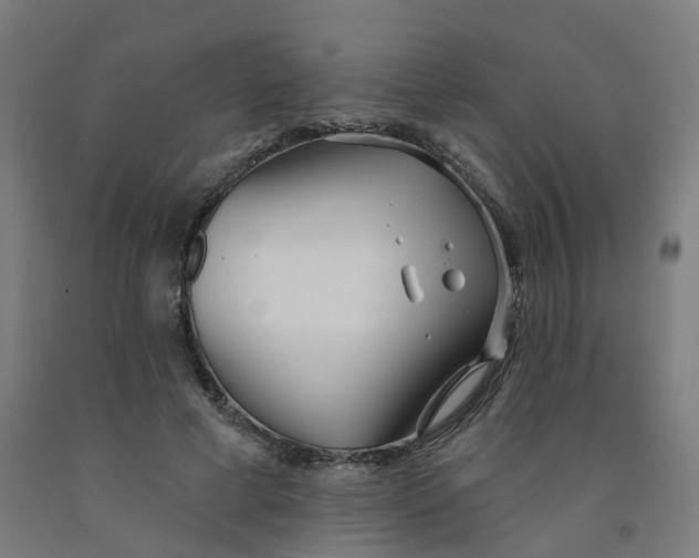 X0000091990593200709271449