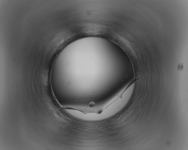 X0000091990596200709271449