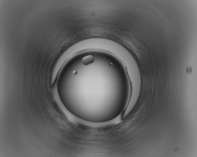 X0000091990597200709271449