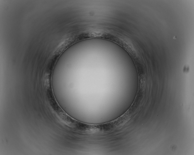 X0000091990598200709271449