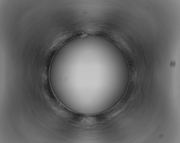 X0000091990599200709271449