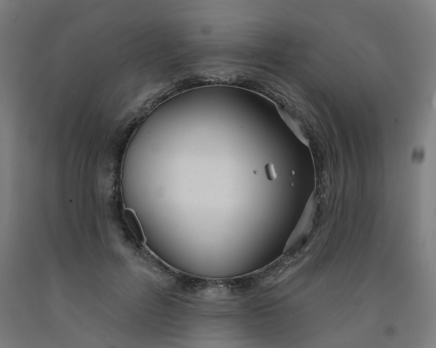 X0000091990600200709271449