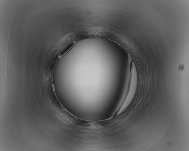 X0000091990601200709271449