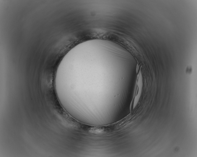 X0000091990602200709271449