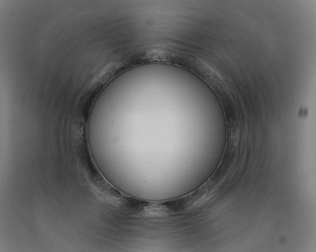 X0000091990603200709271449