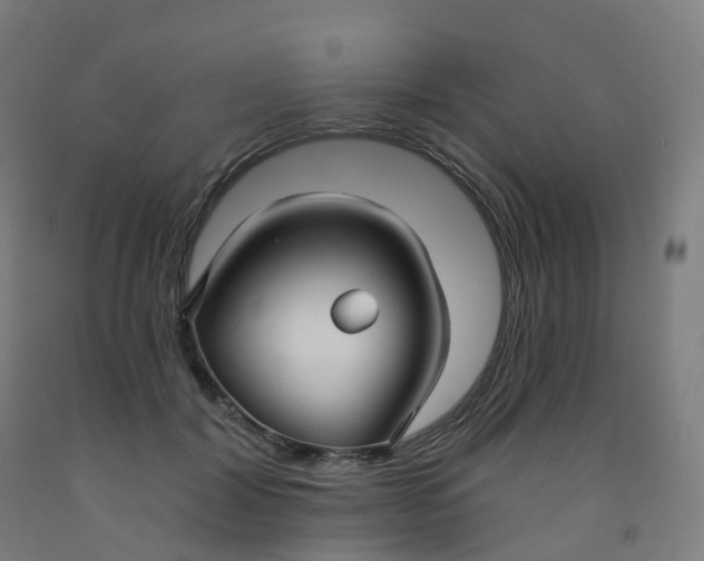 X0000091990604200709271449