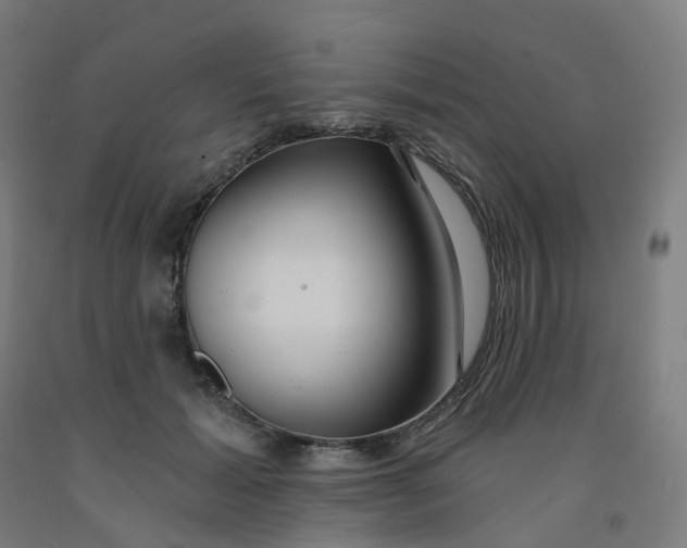 X0000091990605200709271449