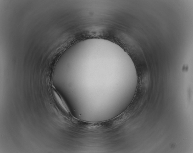 X0000091990606200709271449