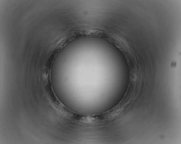 X0000091990607200709271449