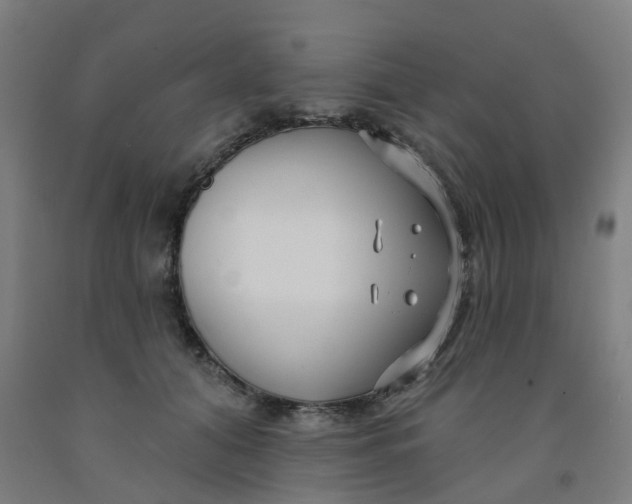 X0000091990608200709271449