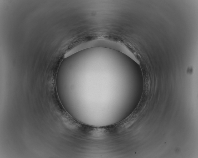 X0000091990609200709271449