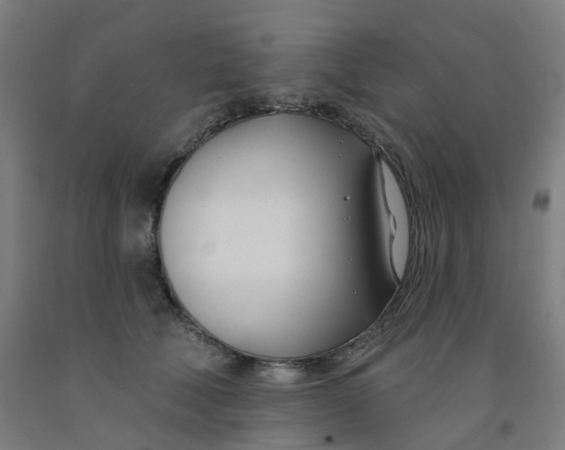 X0000091990610200709271449