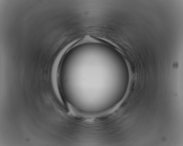 X0000091990611200709271449