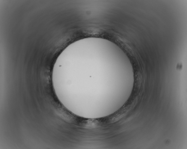 X0000091990612200709271449