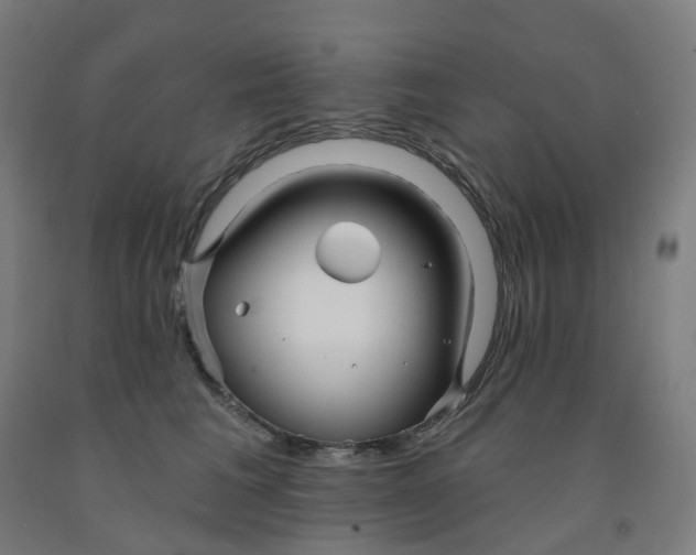 X0000091990613200709271449